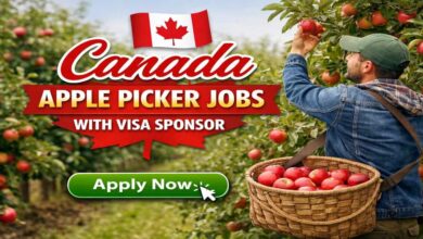 Canada Apple Picker Jobs with Visa Sponsor