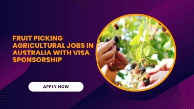 Fruit Picking Agricultural Jobs in Australia With Visa Sponsorship
