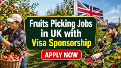 Fruits Picking Jobs in UK with Visa Sponsorship