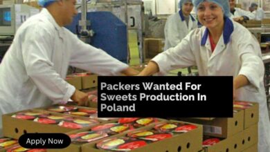 Packers Wanted For Sweets Production In Poland (2)