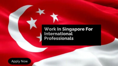 Work In Singapore For International Professionals