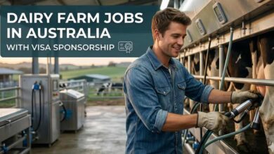 Dairy Farm Jobs in Australia with Visa Sponsorship