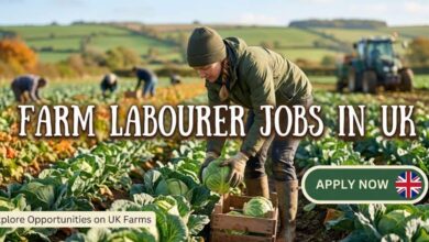 Farm Labourer Jobs in UK