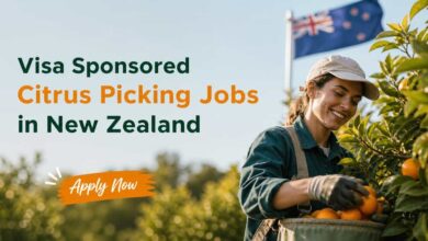 Visa Sponsored Citrus Picking Jobs in New Zealand