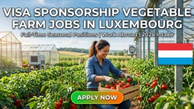 Visa Sponsorship Vegetable Farm Jobs in Luxembourg