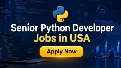 Senior Python Developer Jobs in USA